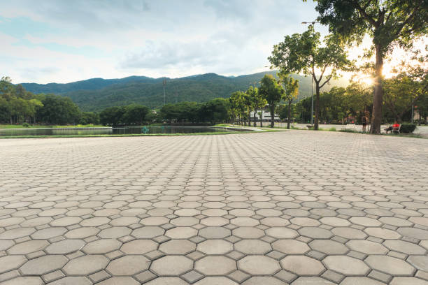 Best Residential Paver Driveway  in Castle Point, MO